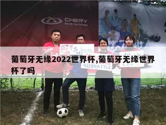 葡萄牙无缘2022世界杯,葡萄牙无缘世界杯了吗