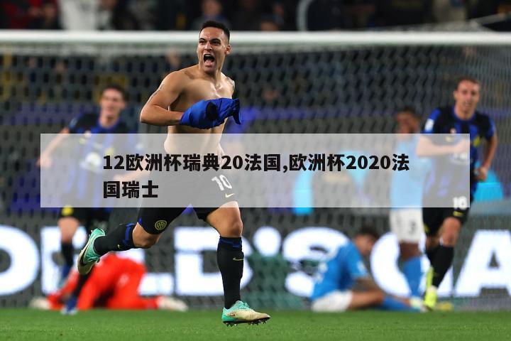 12欧洲杯瑞典20法国,欧洲杯2020法国瑞士