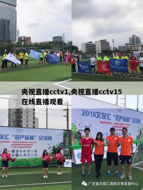 央视直播cctv1,央视直播cctv15在线直播观看