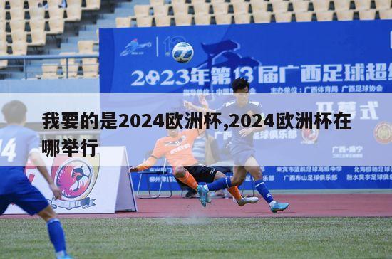 我要的是2024欧洲杯,2024欧洲杯在哪举行