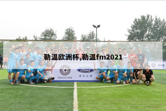 勒温欧洲杯,勒温fm2021