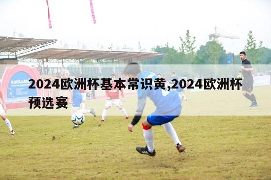 2024欧洲杯基本常识黄,2024欧洲杯预选赛