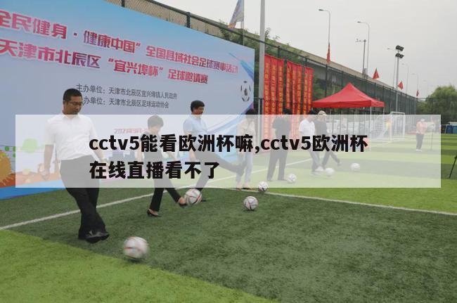 cctv5能看欧洲杯嘛,cctv5欧洲杯在线直播看不了