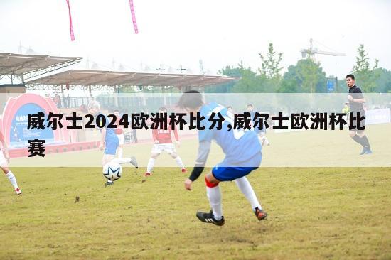 威尔士2024欧洲杯比分,威尔士欧洲杯比赛