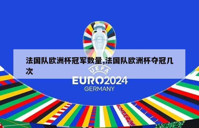 法国队欧洲杯冠军数量,法国队欧洲杯夺冠几次