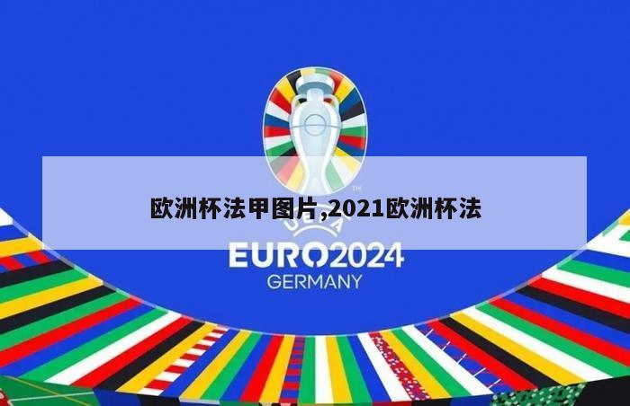 欧洲杯法甲图片,2021欧洲杯法