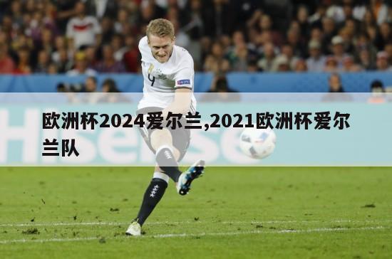 欧洲杯2024爱尔兰,2021欧洲杯爱尔兰队