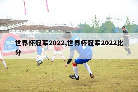 世界杯冠军2022,世界杯冠军2022比分