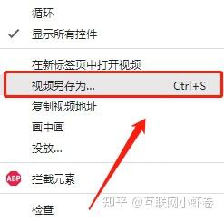 网页上的视频怎么下载呀？