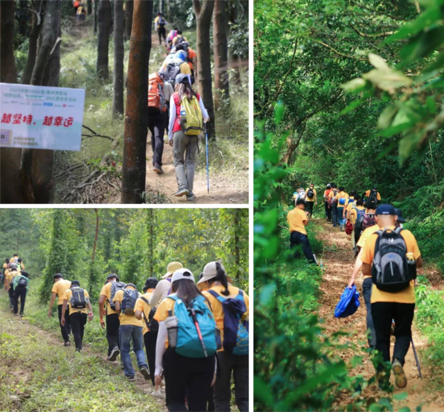 罗湖发布 ｜ 3000张门票、95片体育场地……免费！全民体育节超燃来袭