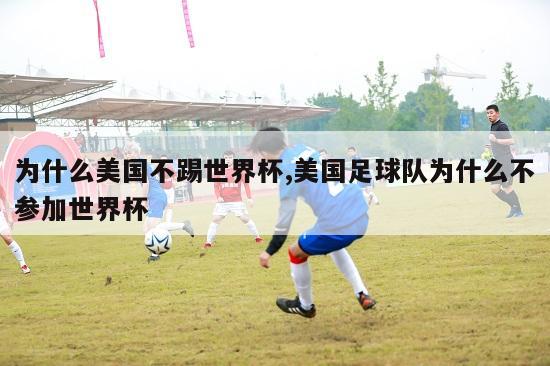 为什么美国不踢世界杯,美国足球队为什么不参加世界杯