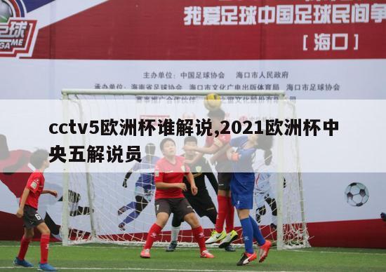 cctv5欧洲杯谁解说,2021欧洲杯中央五解说员