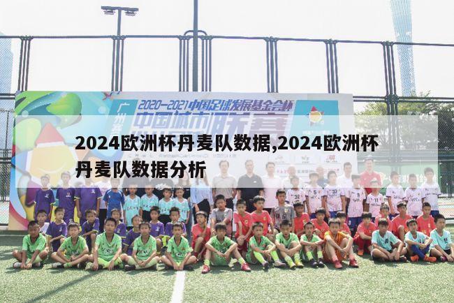 2024欧洲杯丹麦队数据,2024欧洲杯丹麦队数据分析