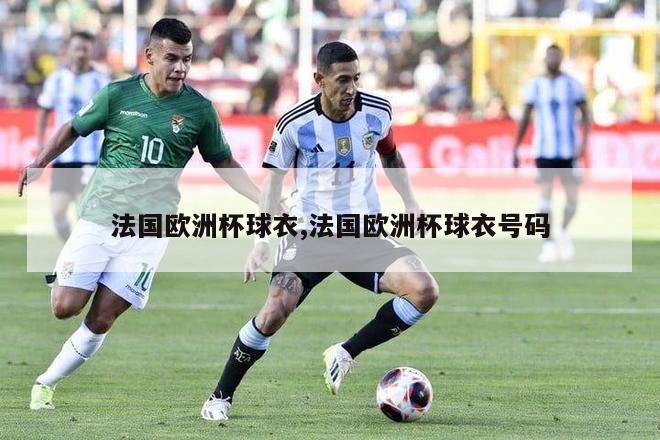 法国欧洲杯球衣,法国欧洲杯球衣号码