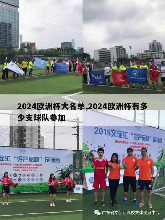 2024欧洲杯大名单,2024欧洲杯有多少支球队参加